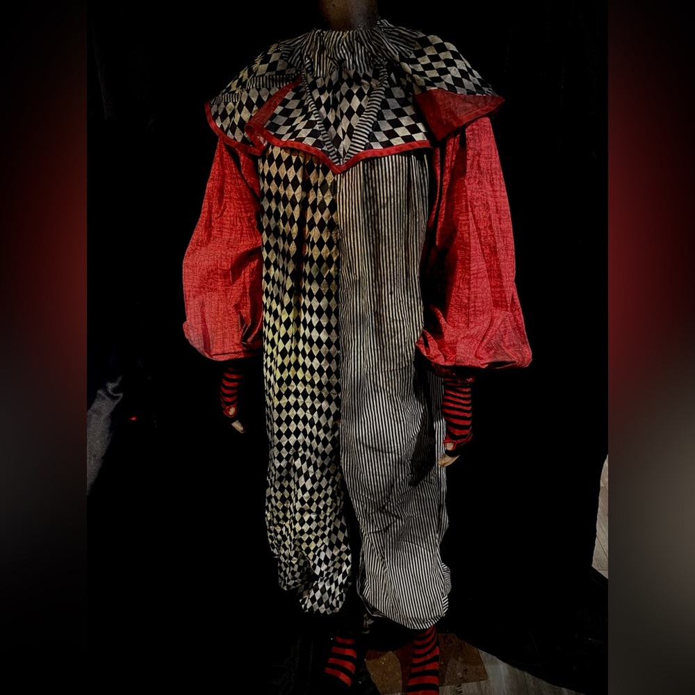 Harlequin Distressed Clown Costume